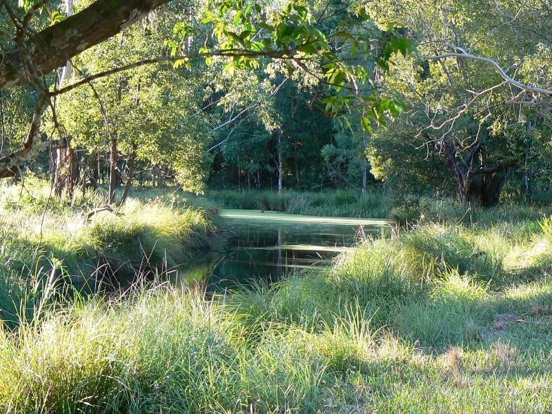 Lansdowne NSW 2430