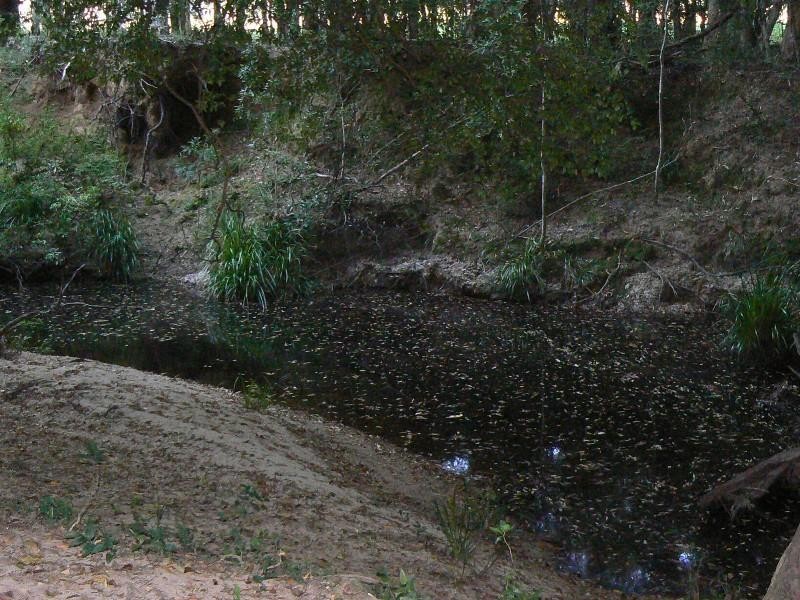 Lansdowne NSW 2430
