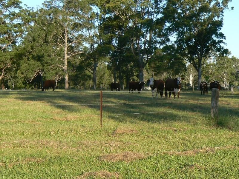 Lansdowne NSW 2430