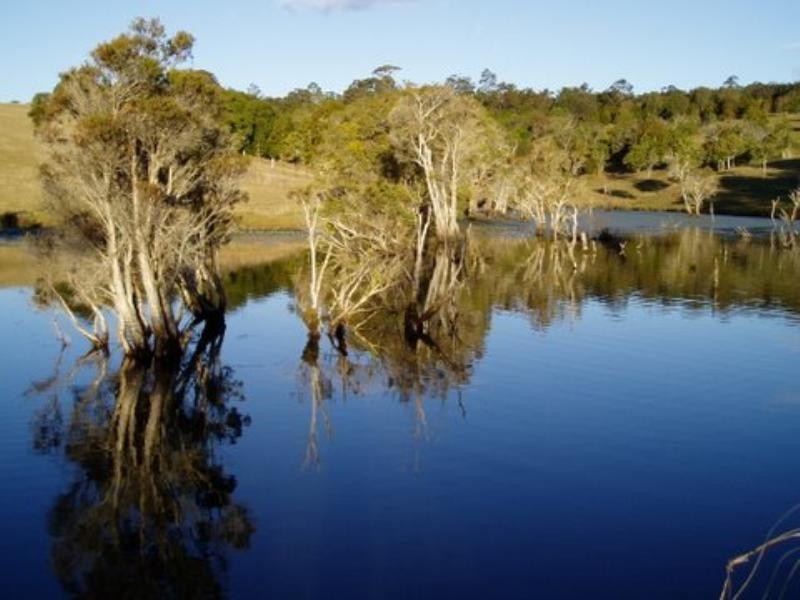Tinonee NSW 2430
