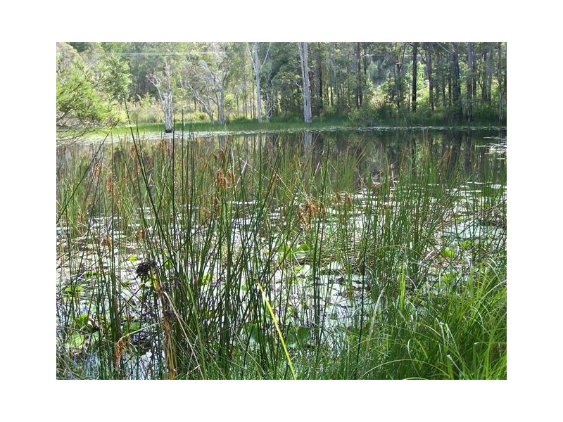 Hallidays Point NSW 2430