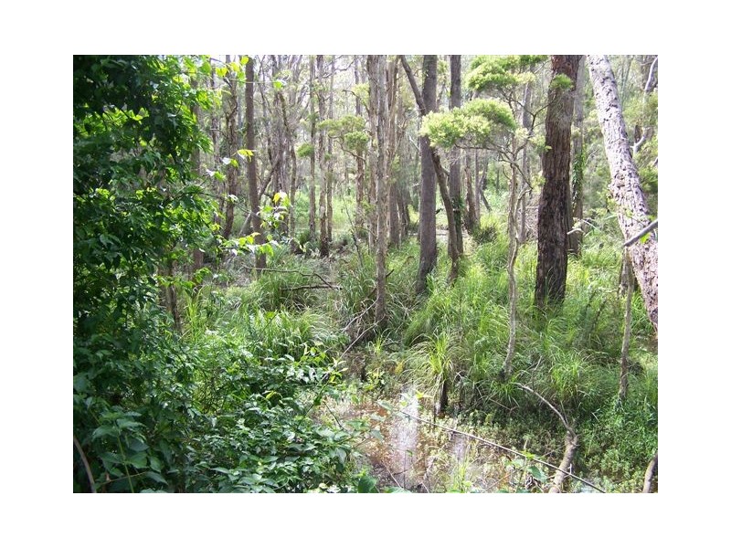 Hallidays Point NSW 2430