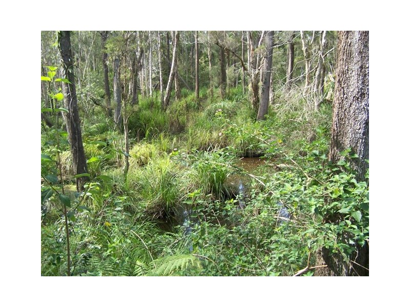 Hallidays Point NSW 2430