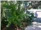 Taree NSW 2430