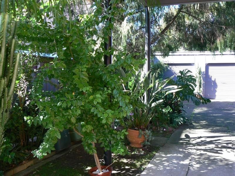 Taree NSW 2430
