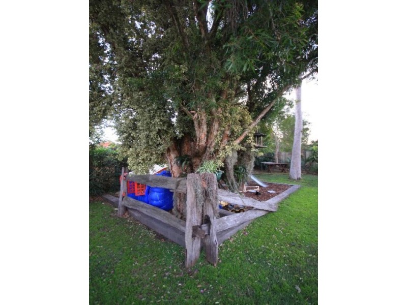 Taree NSW 2430