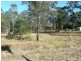 Cedar Party NSW 2429