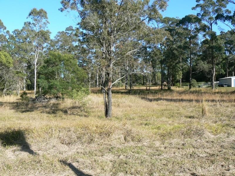 Cedar Party NSW 2429