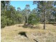 Cedar Party NSW 2429