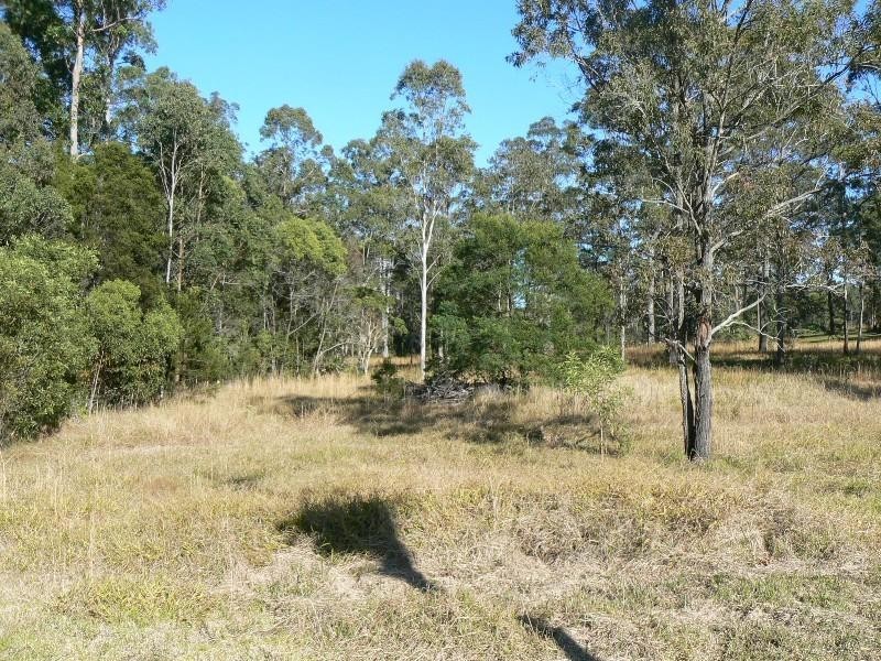 Cedar Party NSW 2429