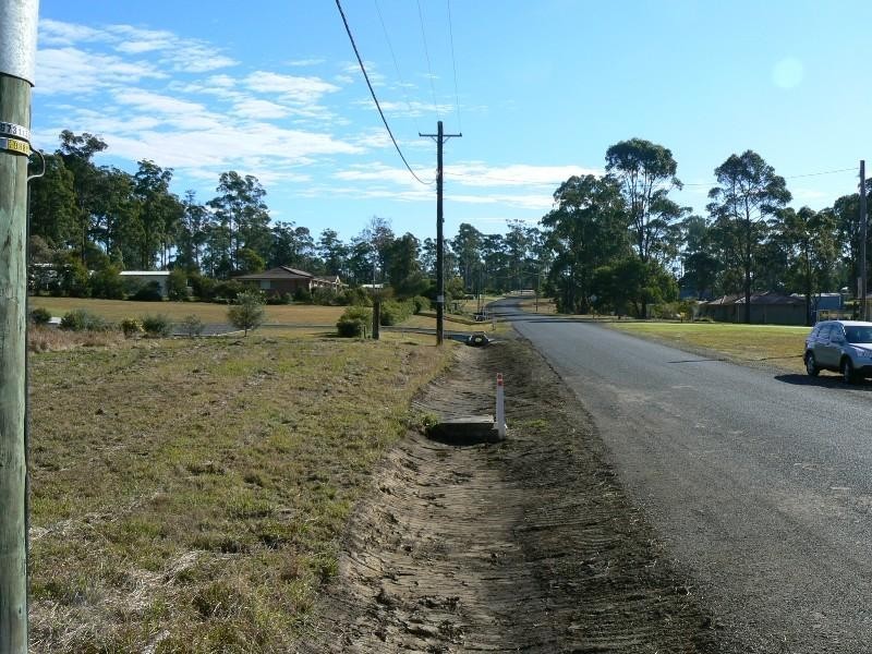 Cedar Party NSW 2429