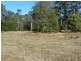 Cedar Party NSW 2429