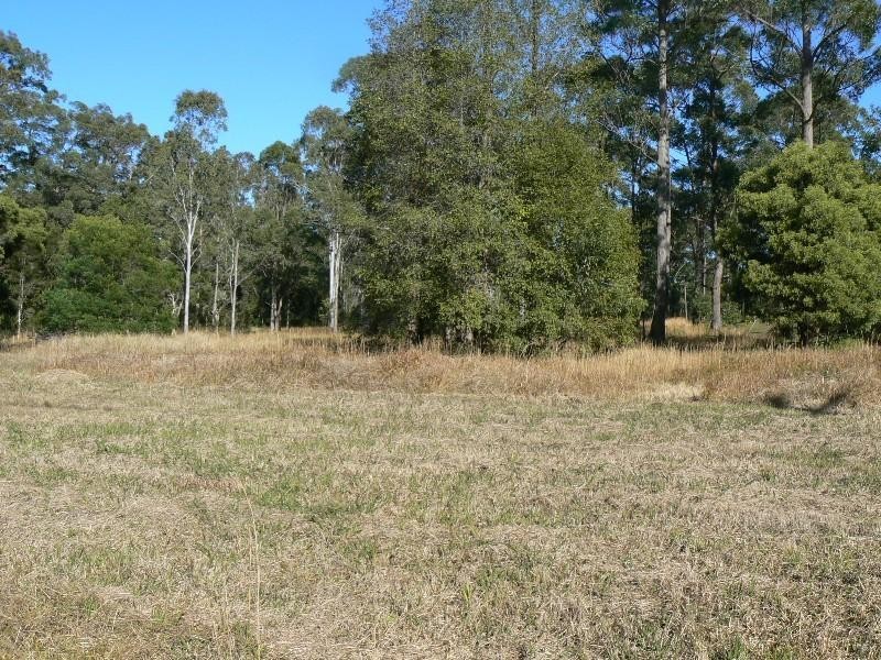 Cedar Party NSW 2429