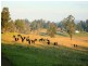 Mondrook NSW 2430