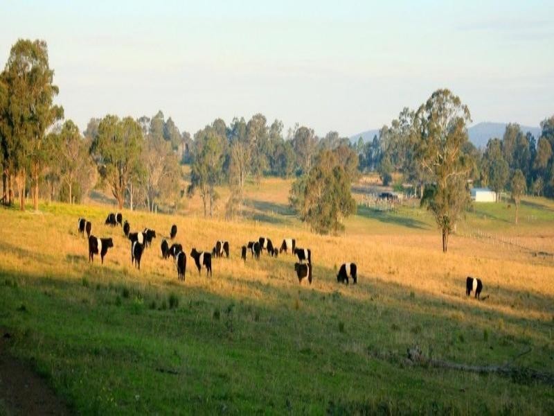Mondrook NSW 2430