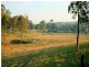 Mondrook NSW 2430