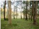 Mondrook NSW 2430