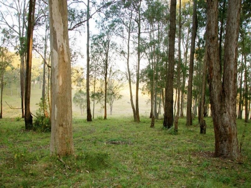 Mondrook NSW 2430