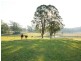 Mondrook NSW 2430