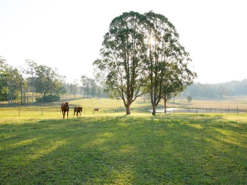 Mondrook NSW 2430