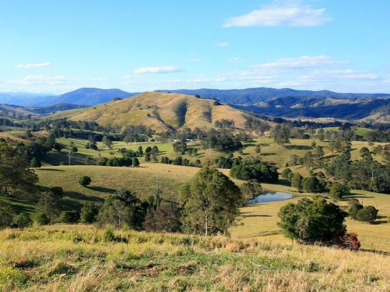 Belbora NSW 2422