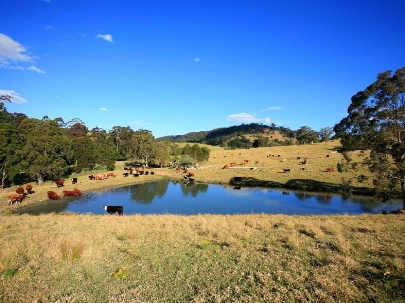 Belbora NSW 2422