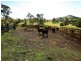 Belbora NSW 2422