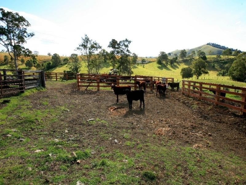 Belbora NSW 2422