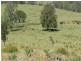 Cooplacurripa NSW 2424