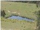 Cooplacurripa NSW 2424