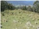 Cooplacurripa NSW 2424