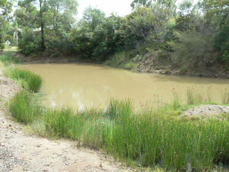 Taree NSW 2430