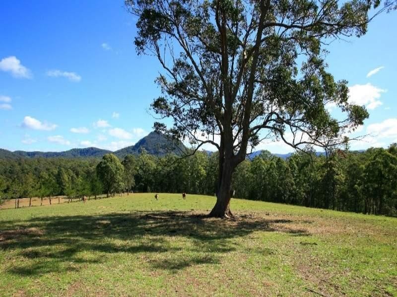 Upper Lansdowne NSW 2430