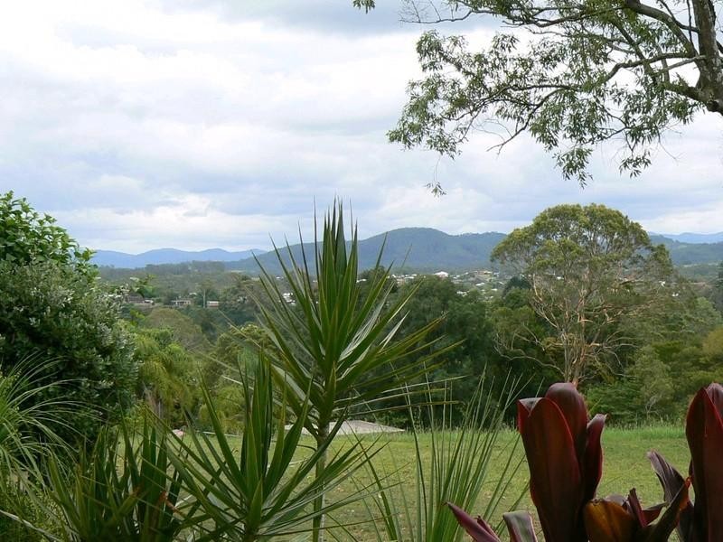 Wingham NSW 2429