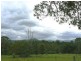 Wingham NSW 2429