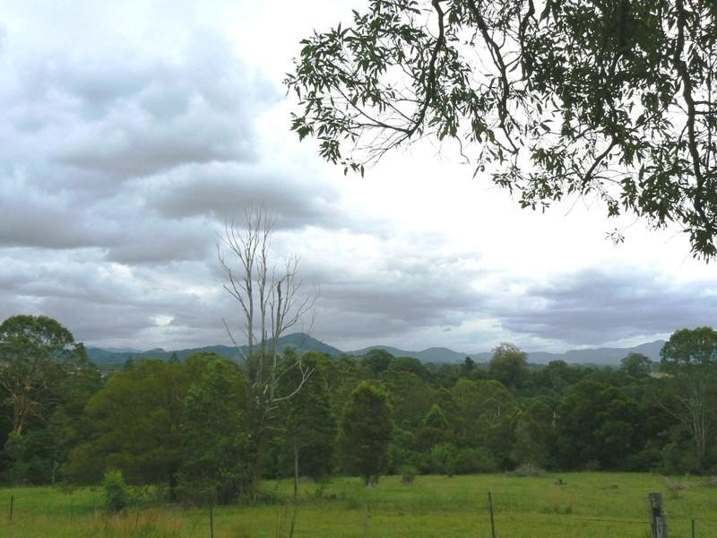 Wingham NSW 2429