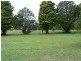 Wingham NSW 2429