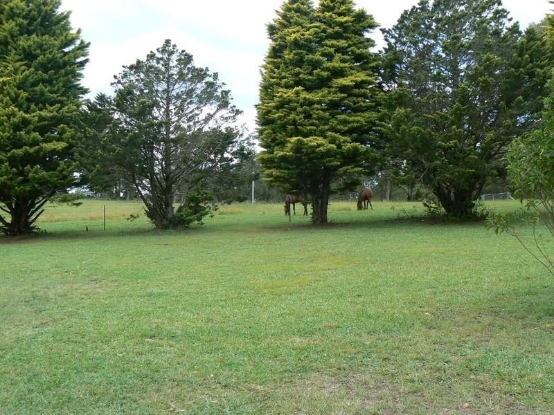 Wingham NSW 2429