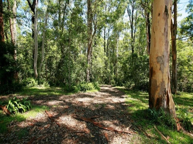 Oxley Island NSW 2430
