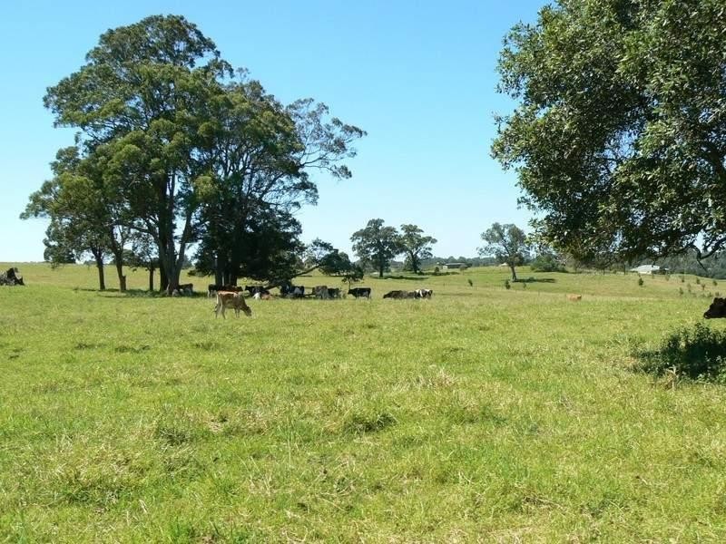 Wingham NSW 2429