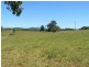 Wingham NSW 2429
