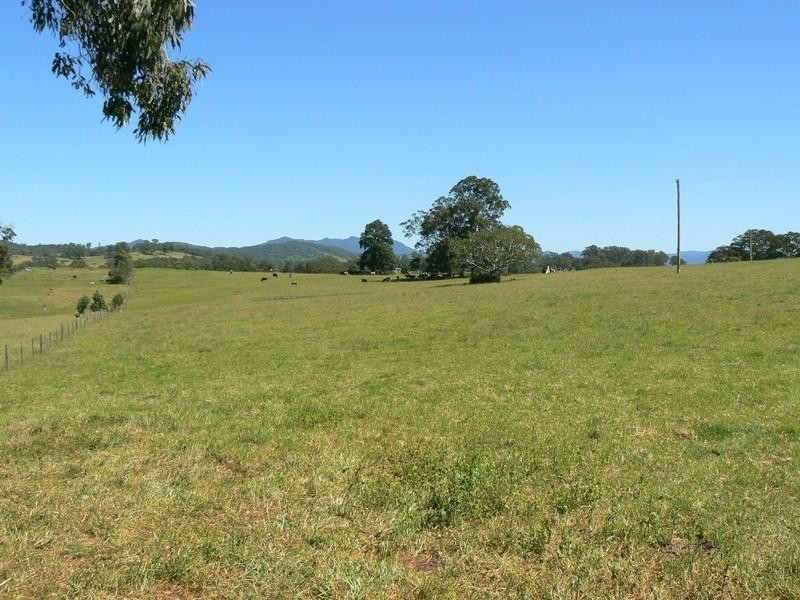 Wingham NSW 2429