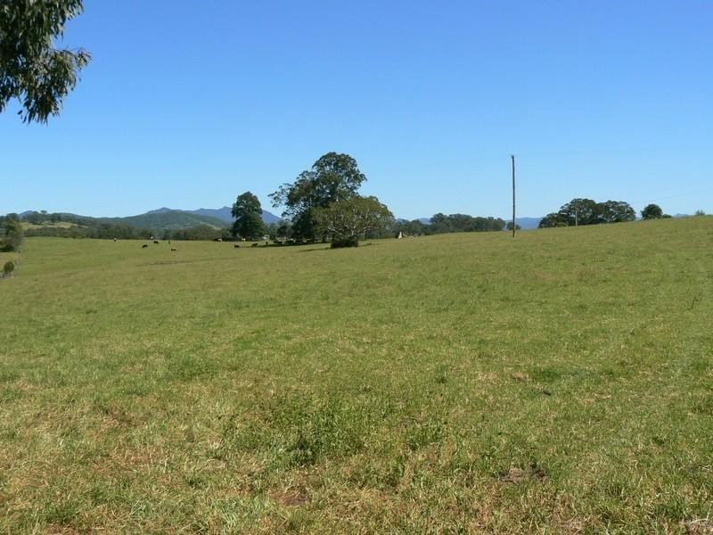 Wingham NSW 2429