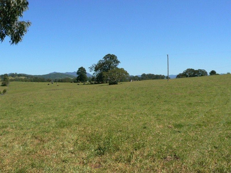 Wingham NSW 2429