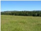Wingham NSW 2429