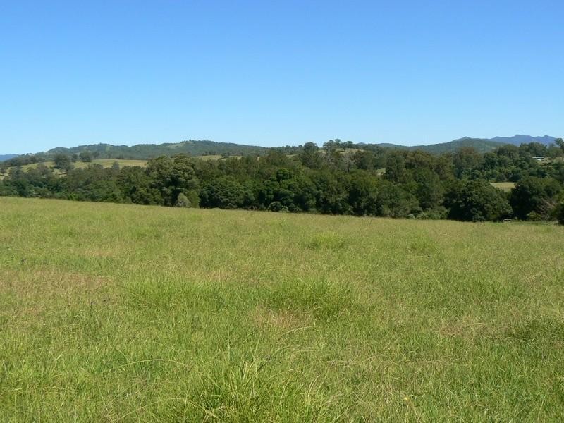 Wingham NSW 2429