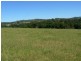 Wingham NSW 2429