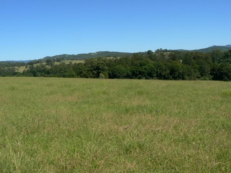 Wingham NSW 2429