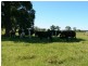 Wingham NSW 2429
