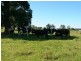 Wingham NSW 2429